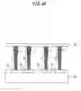 Fig. 47 - DEVICE STRUCTURE OF CARBON FIBERS AND MANUFACTURING METHOD THEREOF