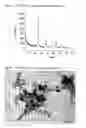 Fig. 02 - Process for the preparation of titanium dioxide with nanometric dimensions and controlled shape