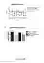 Fig. 09 - Immunological targeting of pathological Tau proteins