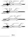 Fig. 03 - Self-containing lactococcus strain