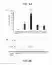 Fig. 09 - Self-containing lactococcus strain