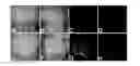 Fig. 01 - FEEDER CELL-FREE CULTURE MEDIUM AND SYSTEM