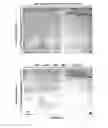 Fig. 07 - FEEDER CELL-FREE CULTURE MEDIUM AND SYSTEM