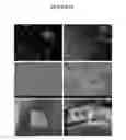 Fig. 20 - COMPOSITIONS AND METHODS FOR URINARY BLADDER REGENERATION