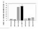 Fig. 01 - Lactic acid bacterium having effect of lowering blood uric acid level