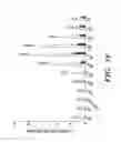 Fig. 04 - AGENTS AND METHODS FOR TREATING RESPIRATORY DISORDERS