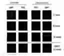 Fig. 01 - Water Soluble Curcumin-Based Compounds