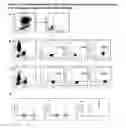 Fig. 02 - MEANS AND METHODS FOR ENHANCING DIFFERENTIATION OF HAEMATOPOIETIC PROGENITOR CELLS
