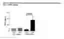 Fig. 04 - MEANS AND METHODS FOR ENHANCING DIFFERENTIATION OF HAEMATOPOIETIC PROGENITOR CELLS