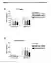 Fig. 05 - MEANS AND METHODS FOR ENHANCING DIFFERENTIATION OF HAEMATOPOIETIC PROGENITOR CELLS