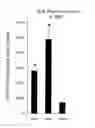 Fig. 01 - Inhibition of angiogenesis