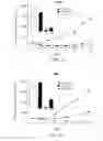 Fig. 10 - Inhibition of angiogenesis