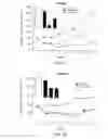 Fig. 11 - Inhibition of angiogenesis