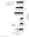 Fig. 13 - Inhibition of angiogenesis