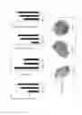 Fig. 16 - Inhibition of angiogenesis