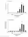 Fig. 43 - Inhibition of angiogenesis