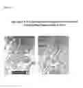 Fig. 15 - Compositions and methods for diagnosing and treating cancer