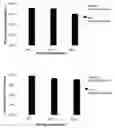 Fig. 01 - Bevacizumab formulations with lower aggregation propensity, comprising corticosteroid anti-inflammatory drugs