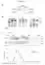 Fig. 02 - COMPLEXES OF GRP94 WITH HUMAN IMMUNOGLOBULIN G