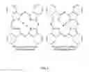 Fig. 05 - Targeted antimicrobial moieties