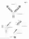 Fig. 02 - Bispecific antigen binding proteins