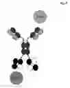 Fig. 09 - Bispecific antigen binding proteins