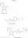 Fig. 19 - COMPOUNDS WITH MDR1-INVERSE ACTIVITY