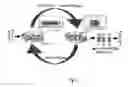 Fig. 02 - Method for producing an antitumoral vaccine based on surface endothelial cell antigens