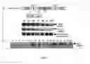 Fig. 02 - Genetically stable recombinant modified vaccinia ankara (rMVA) vaccines and methods of preparation thereof