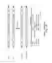 Fig. 02 - CHIMERIC SLE/DENGUE TYPE 4 ANTIGENIC VIRUSES