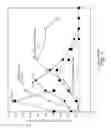 Fig. 05 - CHIMERIC SLE/DENGUE TYPE 4 ANTIGENIC VIRUSES