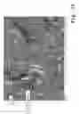 Fig. 24 - Osteosynthesis with nano-silver