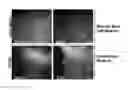 Fig. 01 - Culturing embryonic stem cells, embryonic stem-like cells, or induced pluripotent stem cells with a Muc1 or Muc1* ligand