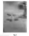 Fig. 02 - METHOD FOR TREATING HERPES ZOSTER LESIONS