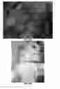Fig. 43 - HOMEOPATHIC COMPLEX