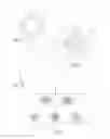 Fig. 02 - Part positioning and assembly process for creep sensitive material
