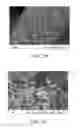 Fig. 08 - One-dimensional metal nanostructures