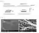 Fig. 02 - FABRICATION METHOD OF BISMUTH SINGLE CRYSTALLINE NANOWIRE
