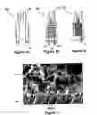 Fig. 02 - NANOMATERIAL AND METHOD FOR GENERATING NANOMATERIAL