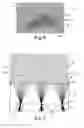 Fig. 04 - Methods for forming sheeting with a composite image that floats and a master tooling