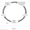Fig. 06 - Method for teeth restoration and a teeth matrix
