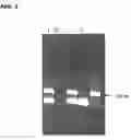 Fig. 03 - Method for enriching a prokaryotic DNA