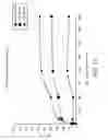 Fig. 13 - Modified Nucleotides and Methods for Making and Use Same