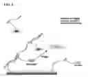 Fig. 07 - Nonseparation assay methods
