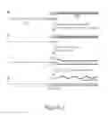 Fig. 03 - Method for DNA double-strand break repair in vitro and applications thereof