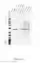Fig. 05 - Method for DNA double-strand break repair in vitro and applications thereof
