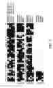 Fig. 02 - Methods and compositions for detecting spermatozoa or semen in a sample