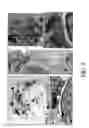 Fig. 06 - Methods and compositions for detecting spermatozoa or semen in a sample