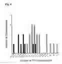 Fig. 06 - Spinocerebellar ataxia type 8 and methods of detection