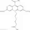 Fig. 79 - Dyes and labeled molecules